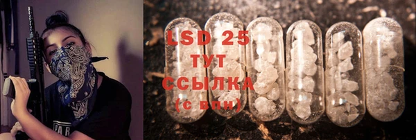 PSILOCYBIN Беломорск