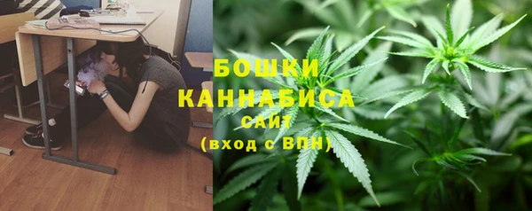 PSILOCYBIN Беломорск