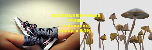 PSILOCYBIN Беломорск