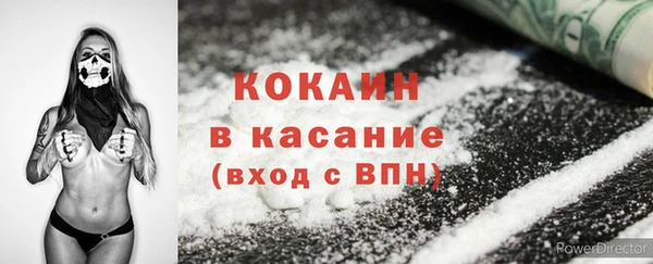 2c-b Тайга