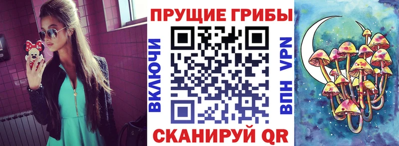 наркошоп  Красноперекопск  Галлюциногенные грибы Cubensis 